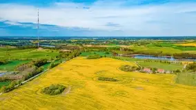 Złote, rzepakowe mazurskie pola z jeziorami w tle - zdjęcie 76