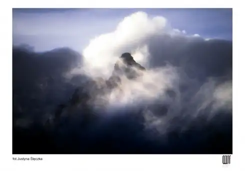 Kobiety fotografują na Mazurach. Niezwykły festiwal w Wojnowie - zdjęcie 11