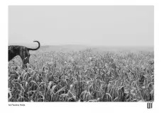 Kobiety fotografują na Mazurach. Niezwykły festiwal w Wojnowie - zdjęcie 9