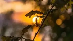 Zachód słońca nad jeziorem Dargin, maj 2022 r. - zdjęcie 30