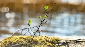 Wiosenne widoki przy jeziorach Ublik - zdjęcie 116