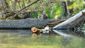 Wiosenne widoki przy jeziorach Ublik - zdjęcie 72