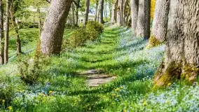 Wiosenne widoki przy jeziorach Ublik - zdjęcie 128