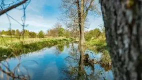 Wiosenne widoki przy jeziorach Ublik - zdjęcie 85