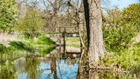 Wiosenne widoki przy jeziorach Ublik - zdjęcie 88