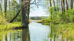 Wiosenne widoki przy jeziorach Ublik - zdjęcie 119