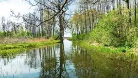 Wiosenne widoki przy jeziorach Ublik - zdjęcie 95
