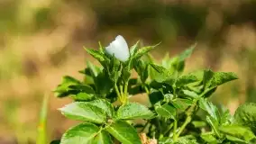 Wiosenne widoki przy jeziorach Ublik - zdjęcie 102