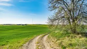 Wiosenne widoki przy jeziorach Ublik - zdjęcie 113