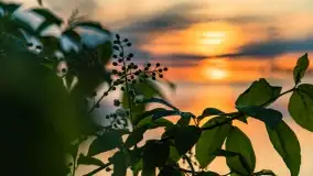 Zachód słońca nad jeziorem Niegocin, maj 2022 r. - zdjęcie 27