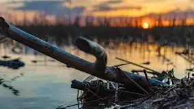 Zachód słońca nad jeziorem Niegocin, maj 2022 r. - zdjęcie 13