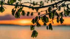 Zachód słońca nad jeziorem Niegocin, maj 2022 r. - zdjęcie 22