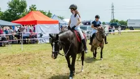 Sulimiada 2022, zobacz naszą fotorelację - zdjęcie 15