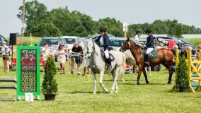 Sulimiada 2022, zobacz naszą fotorelację - zdjęcie 9