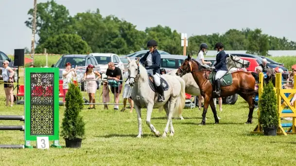 Sulimiada 2022, zobacz naszą fotorelację - zdjęcie 9