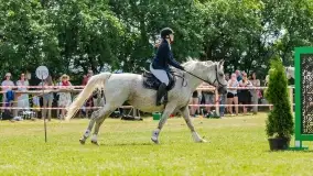 Sulimiada 2022, zobacz naszą fotorelację - zdjęcie 24