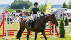 Sulimiada 2022, zobacz naszą fotorelację - zdjęcie 46