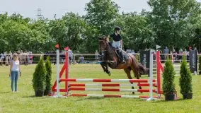 Sulimiada 2022, zobacz naszą fotorelację - zdjęcie 28