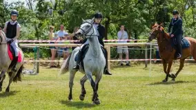 Sulimiada 2022, zobacz naszą fotorelację - zdjęcie 83