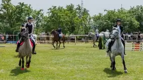 Sulimiada 2022, zobacz naszą fotorelację - zdjęcie 47