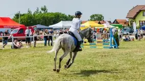 Sulimiada 2022, zobacz naszą fotorelację - zdjęcie 50