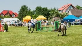 Sulimiada 2022, zobacz naszą fotorelację - zdjęcie 87