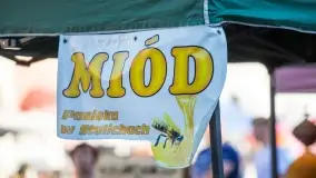 Fotoralcja - Jarmark św. Jana w Piszu - zdjęcie 47