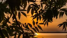 Zachód słońca nad jeziorem Dobskim w Fuledzie, czerwiec 2022 - zdjęcie 10