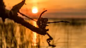 Zachód słońca nad jeziorem Dobskim w Fuledzie, czerwiec 2022 - zdjęcie 36