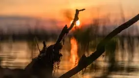 Zachód słońca nad jeziorem Dobskim w Fuledzie, czerwiec 2022 - zdjęcie 45