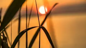 Zachód słońca nad jeziorem Dobskim w Fuledzie, czerwiec 2022 - zdjęcie 39