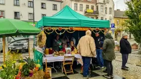 Fotorelacja z dożynek Gminnych w Piszu, Piknik Wołowy - zdjęcie 17