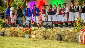 Fotorelacja z Dożynek Gminy Mikołajki 2022 - zdjęcie 16