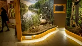 Fotorelacja -  Ogólnopolski Dzień Parków Krajobrazowych w Puszczy Piskiej - zdjęcie 24