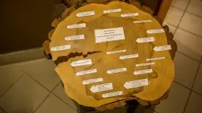 Fotorelacja -  Ogólnopolski Dzień Parków Krajobrazowych w Puszczy Piskiej - zdjęcie 30