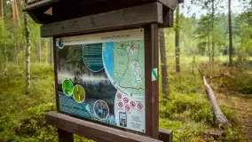 Fotorelacja -  Ogólnopolski Dzień Parków Krajobrazowych w Puszczy Piskiej - zdjęcie 15