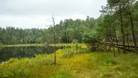 Fotorelacja -  Ogólnopolski Dzień Parków Krajobrazowych w Puszczy Piskiej - zdjęcie 52