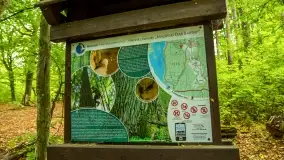 Fotorelacja -  Ogólnopolski Dzień Parków Krajobrazowych w Puszczy Piskiej - zdjęcie 48