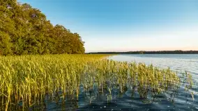 Zachód słońca nad jeziorem Przystań, czerwiec 2022 - zdjęcie 23