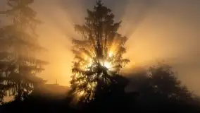 Szczytno i okolice na zdjęciach Marty Sotnik, 2022 - zdjęcie 1