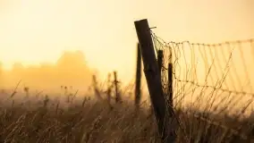 Szczytno i okolice na zdjęciach Marty Sotnik, 2022 - zdjęcie 20