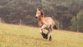 Szczytno i okolice na zdjęciach Marty Sotnik, 2022 - zdjęcie 16