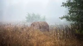 Szczytno i okolice na zdjęciach Marty Sotnik, 2022 - zdjęcie 14