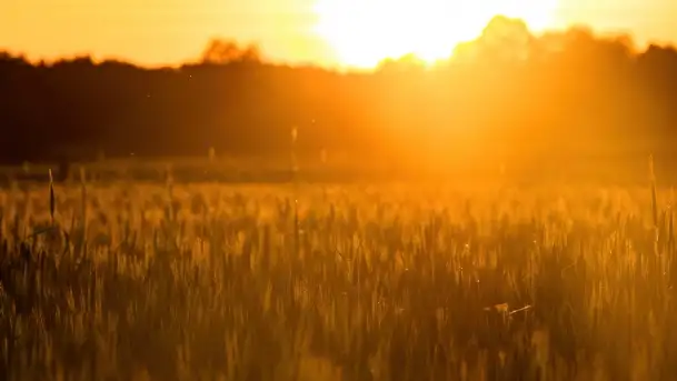 Wiosenny zachód słońca w okolica jeziora Stręgiel