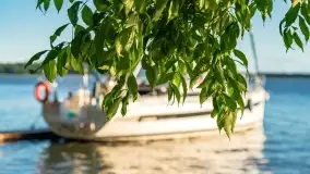 Zachód słońca nad jeziorem Mamry, Cypel Zwierzyniecki Róg - zdjęcie 43