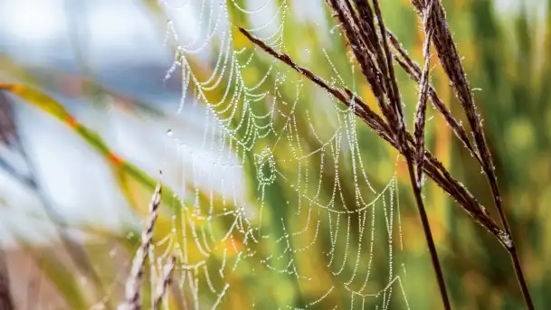Poranek w Bocianim Gnieździe i te... mgły nad jeziorem Ryńskim - zdjęcie 8