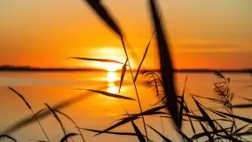 Sierpniowy zachód słońca nad jeziorem Dargin - zdjęcie 19