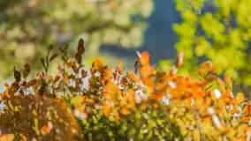 Jezioro Wesołek i puszcza Piska - zdjęcie 29