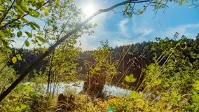 Jezioro Wesołek i puszcza Piska - zdjęcie 27