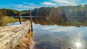 Jezioro Wesołek i puszcza Piska - zdjęcie 33